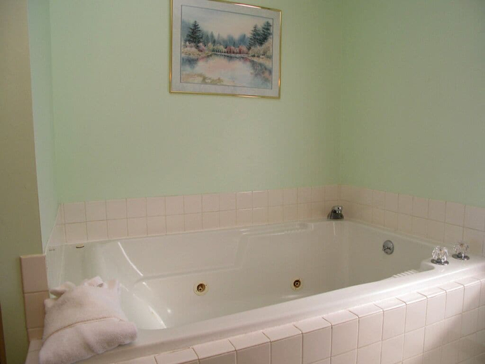 Bathroom 3, Above and Beyond by Jackson Mountain Rentals, Sevier