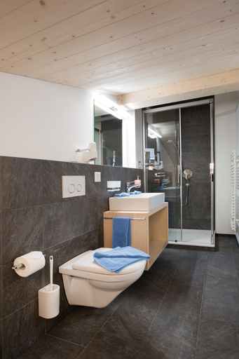 Bathroom 3, Boutique-Hotel Vincenz, Surselva