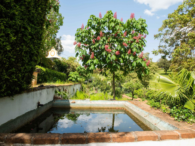 Sport & Beauty 2, Your Montemor-o-Novo Mansion Escape, Montemor-o-Novo