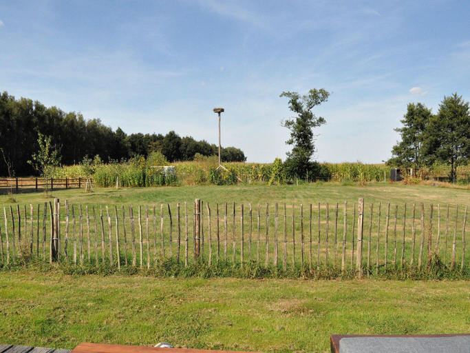 Others 5, Peaceful Chalet Close to Norg, Ooststellingwerf