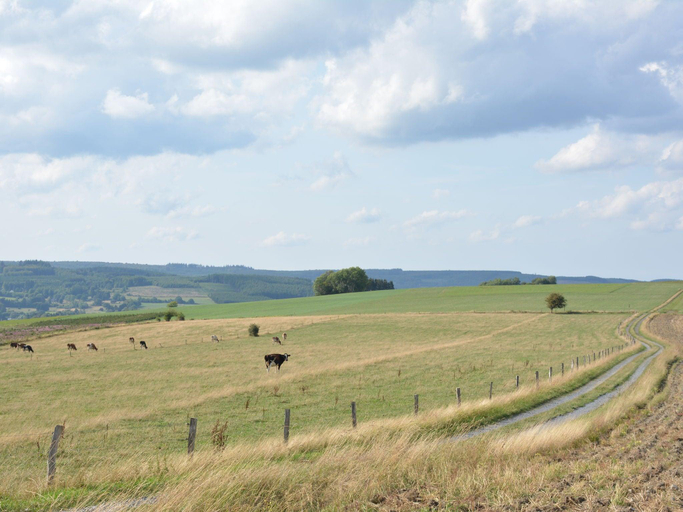 Others 4, Beautiful Ardennes house in quiet area, Luxembourg