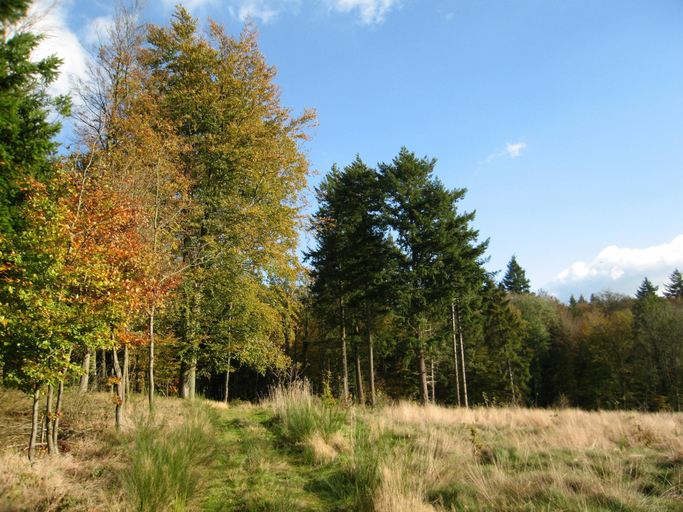 Others 3, Holiday Home in La Roche with Sauna  Games, Luxembourg
