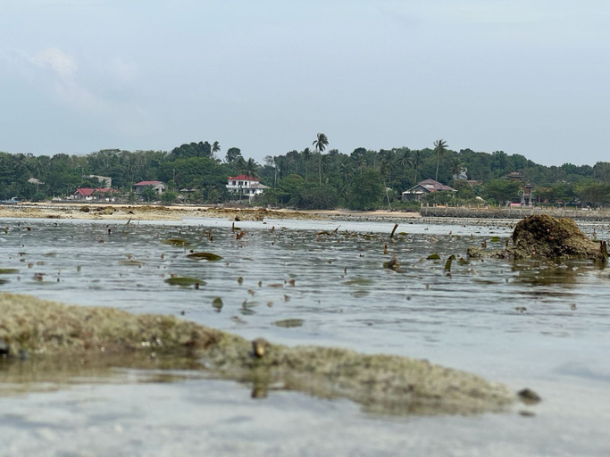 Others 5, La Seahorse Homestay, Bintan Regency