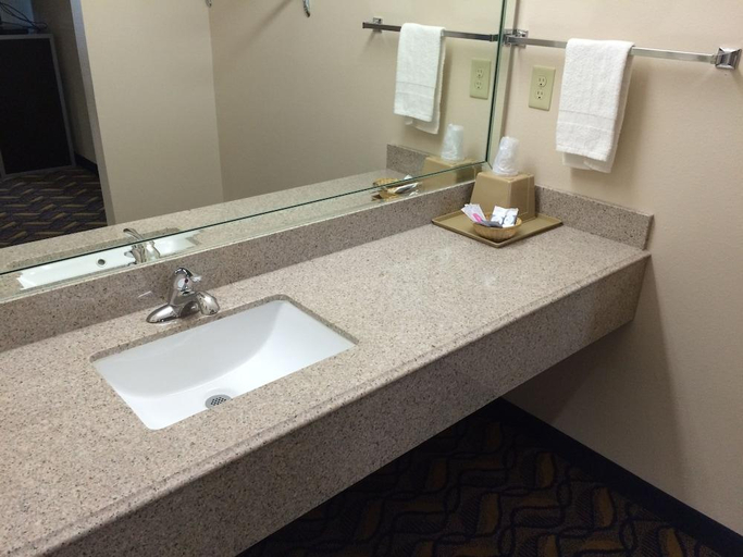 Bathroom 3, Palace Inn Kingwood, Houston