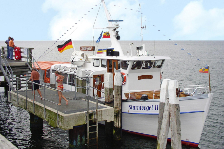 Others 5, Schlossurlaub nahe Ostsee und Tressower See, Nordwestmecklenburg