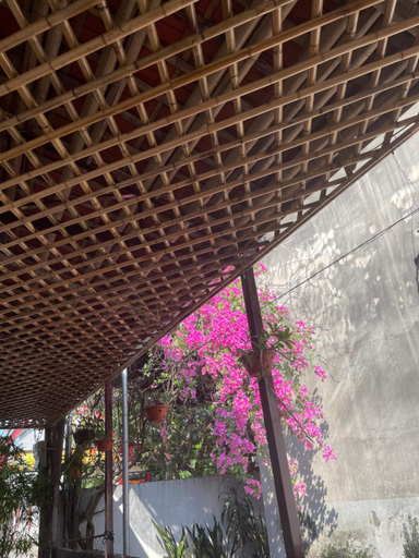 Food & Drinks 2, Thuy Xuyen Tam Coc Homestay, Hoa Lư