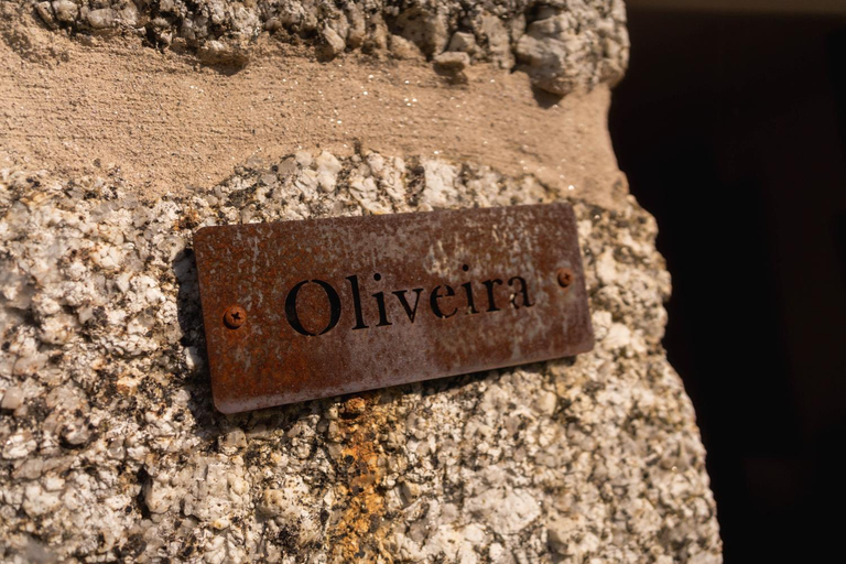 Others 3, Quinta Da Mouta, Vieira do Minho