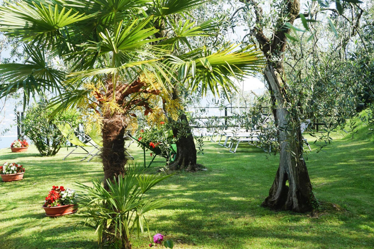 Others 5, Apartments Casa Tamas, Limone, Brescia