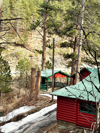 Others 4, Ponderosa Pines, Lawrence