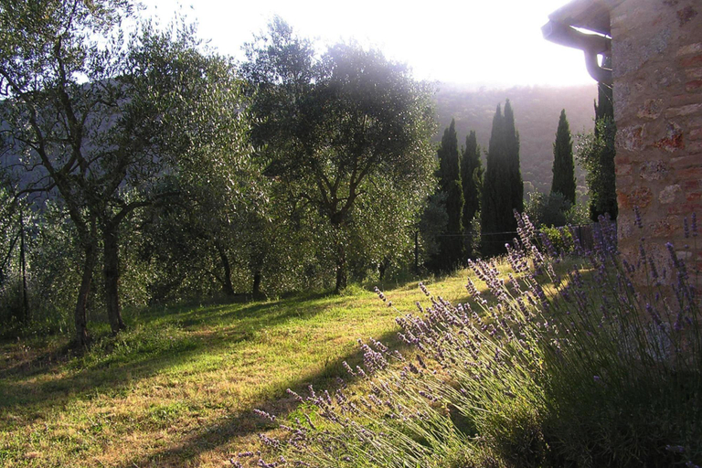 Others 5, Charming House in Tuscany with Pool  Views, Siena