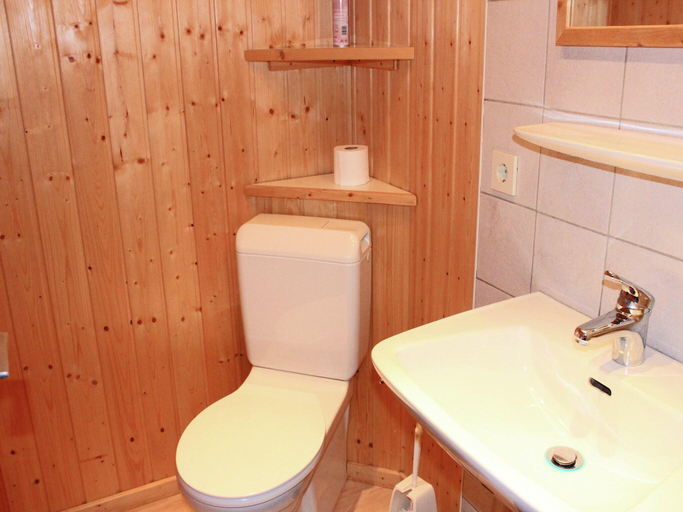 Bathroom 3, Chalet in Sibratsgfall near Ski Slopes, Bregenz