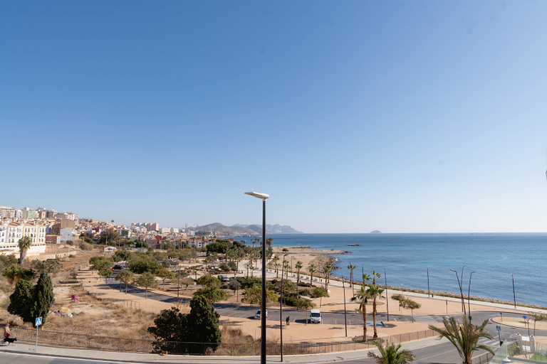 Others 4, Niu Line, Alicante