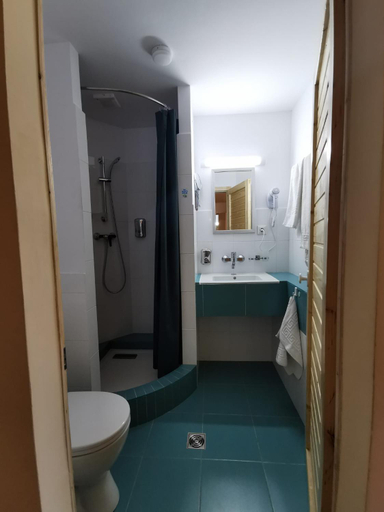 Bathroom 4, Pensiunea Valea Lupului, Patarlagele
