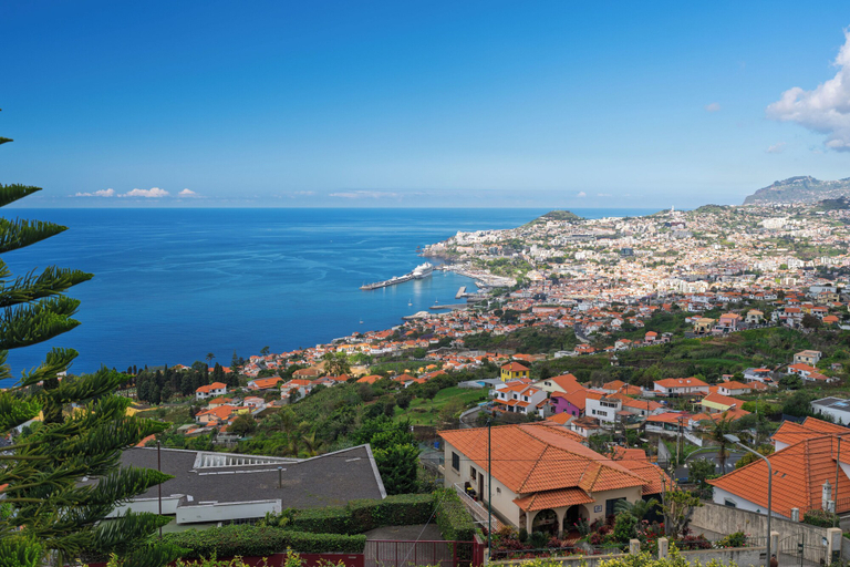 Others 3, Casa Bela Vista, Funchal