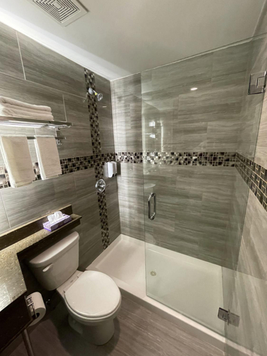 Bathroom 3, Hotel 369 Brooklyn, New York