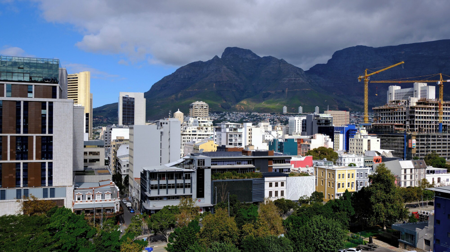 Others 5, Urban Elephant The Rose, City of Cape Town