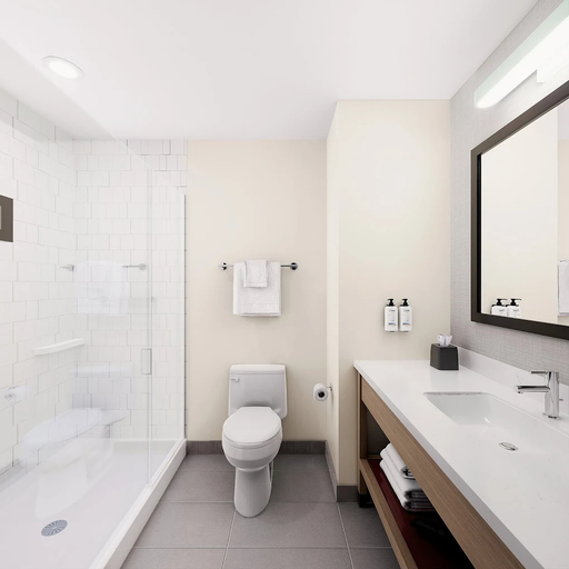 Bathroom 4, Garner Hotel IDAHO FALLS SOUTHWEST by IHG, Bonneville