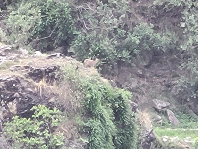 Others 3, Hotel Prakriti Darshan, Uttarkashi