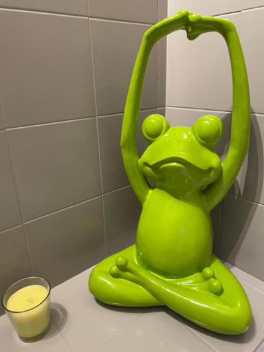 Bathroom 5, Chez béa, Manche