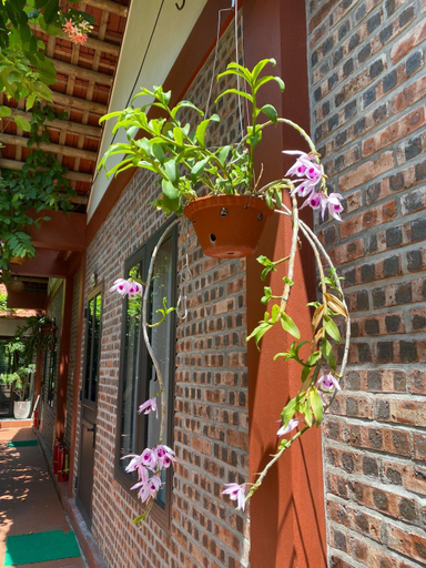Others 5, Thuy Xuyen Tam Coc Homestay, Hoa Lư