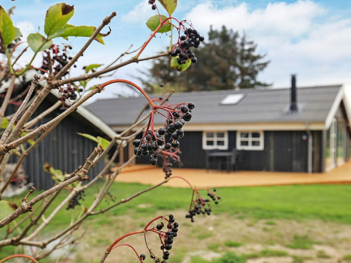 Exterior & Views 5, 4 Star Holiday Home in Lokken, Jammerbugt