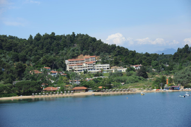 View