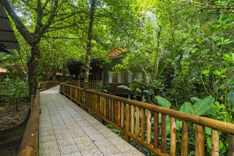 Public Area 3, Evergreen Lodge, Pococí