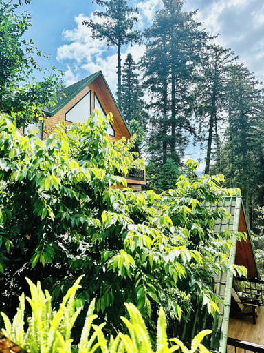 Exterior & Views 2, SAPA PINE HILL ECOLODGE, Sa Pa