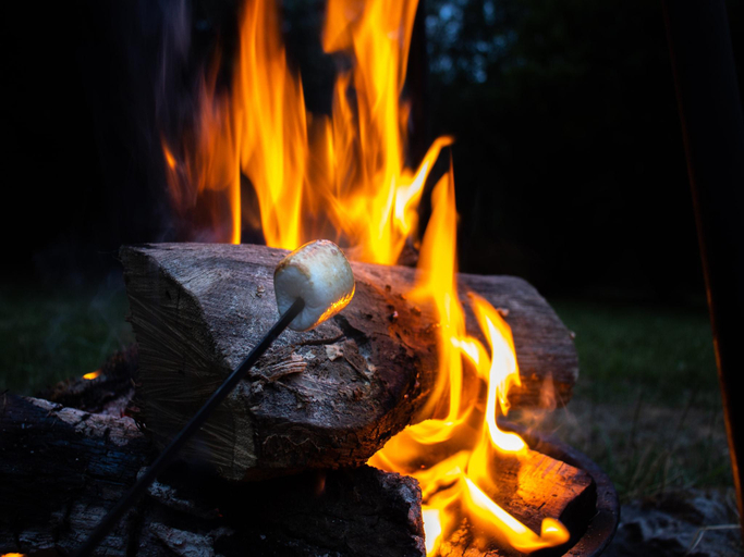 Food & Drinks, Forestside Escape near Lake, Luxembourg