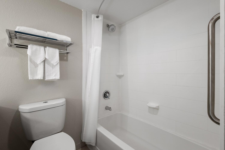 Bathroom 5, Holiday Inn & Suites COLUMBIA NORTHEAST, Richland