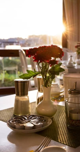 Food & Drinks 5, Hotel Seestern, Mecklenburgische Seenplatte