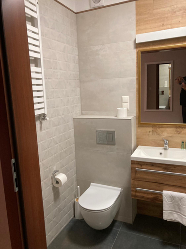 Bathroom 3, Lesna Polana, Jarosław