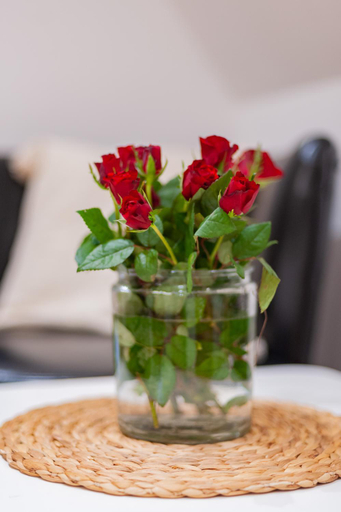 Food & Drinks 5, Apartament u Czernikow, Tatra