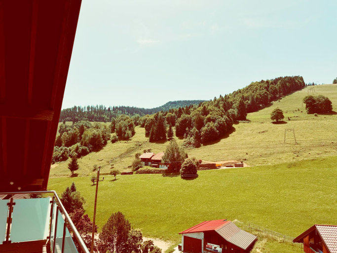 Others 3, Schwarzwald Hotel Wiedenerhof, Lörrach