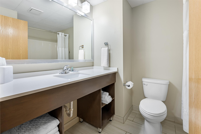Bathroom 4, Best Western Brockport Inn & Suites, Monroe