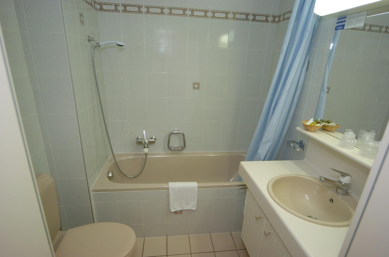 Bathroom, Hotel Le Cedre, Aigle