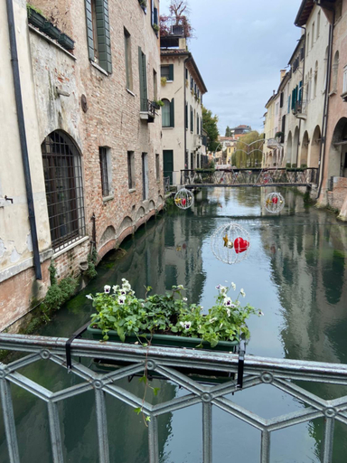 Others 4, My Comfort, Treviso