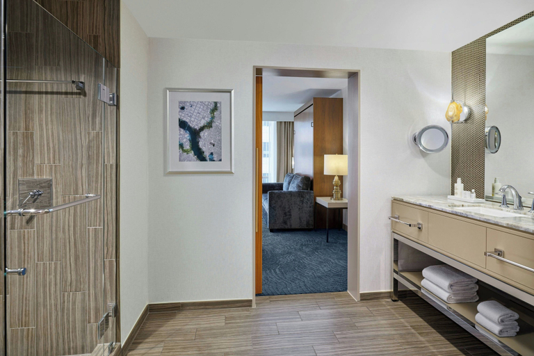 Bathroom 5, JW Marriott Austin, Travis