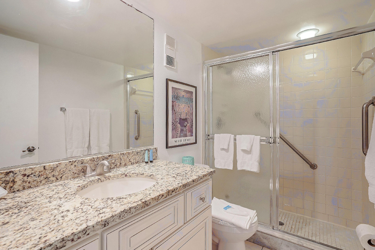 Bathroom 4, Land's End 4-201 Bay Front - Premier, Pinellas