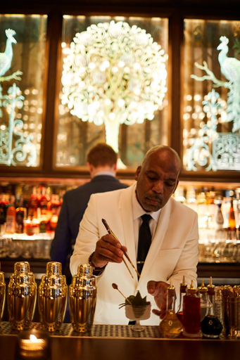 Food & Drinks 4, The Fifth Avenue Hotel, New York