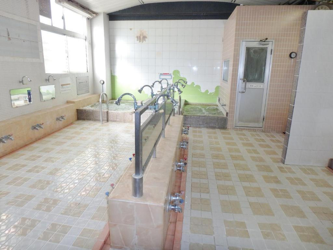 Bathroom 2, Azuma no Yu, Nagano