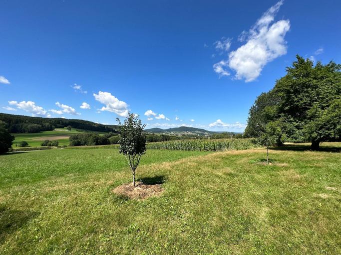 Others 3, Idyllische Ferienwohnung in der Oberpfalz, Cham