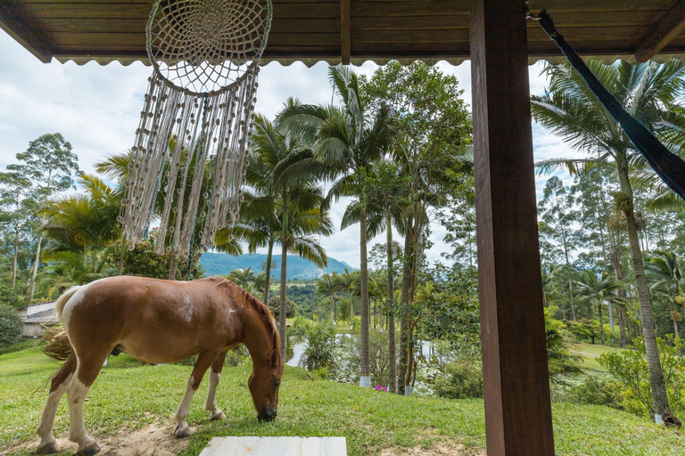 Room 5, Chal com Wi-fi Vista p o Lago em Meio a Natureza, Rio do Sul