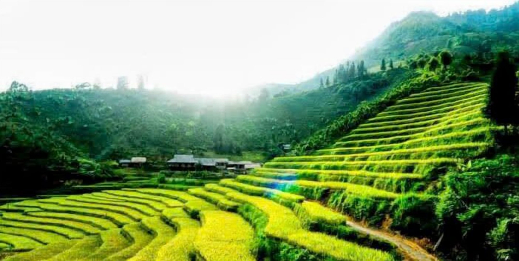 Others 4, Ban Lien Pine Homestay Lao Cai, Bắc Hà