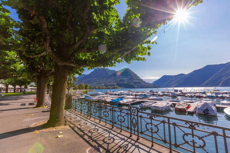 Others 4, Home Gardenia - Home Magnolia - Twin Home, Lugano