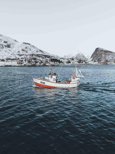 Others 5, Oceanview Mini-House - Stunning Views, Flakstad