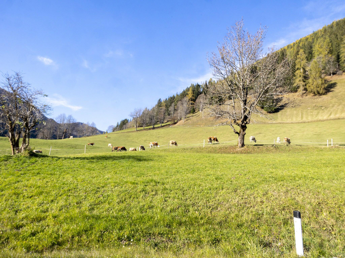 Others 4, Centrally Located Apartment in Bad Kleinkirchheim, Spittal an der Drau