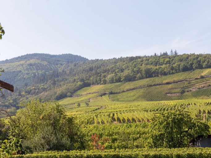 Others 5, Apartment in Alsace near Haut-Koenigsbourg, Bas-Rhin