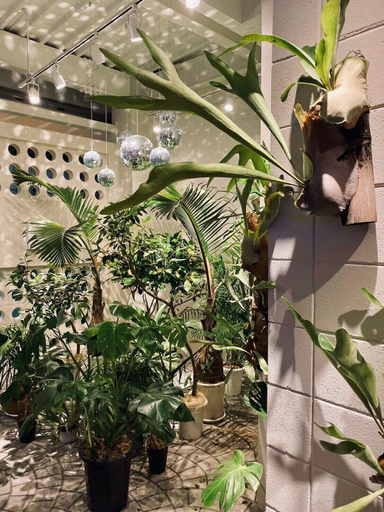 Exterior & Views, Lestel Naha - Hostel, Naha