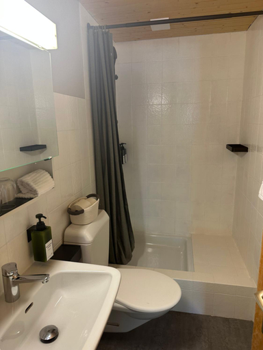 Bathroom 3, Hotel Pez Regina, Surselva